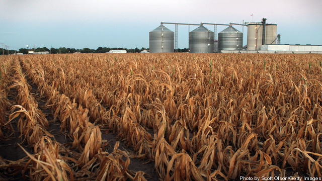 Ethanol Industry Threatened By Midwest Drought