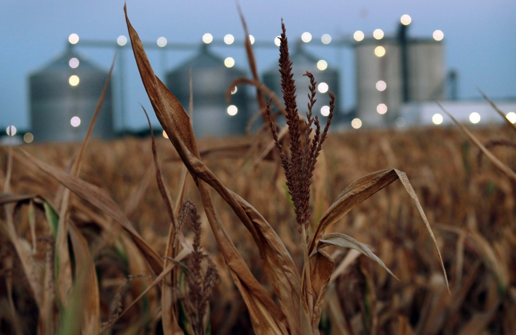 Ethanol Industry Threatened By Midwest Drought