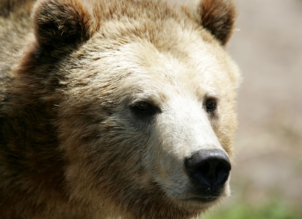 San Francisco Zoo Celebrates Endangered Species Day