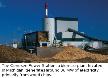 biomass-conversion---photo1---genesee-plant