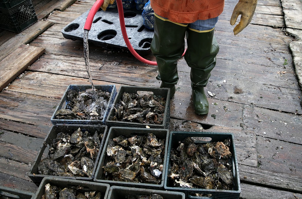 Oyster Farmers Begin To Wind Down Operations After Feds End Nat'l Seashore Lease