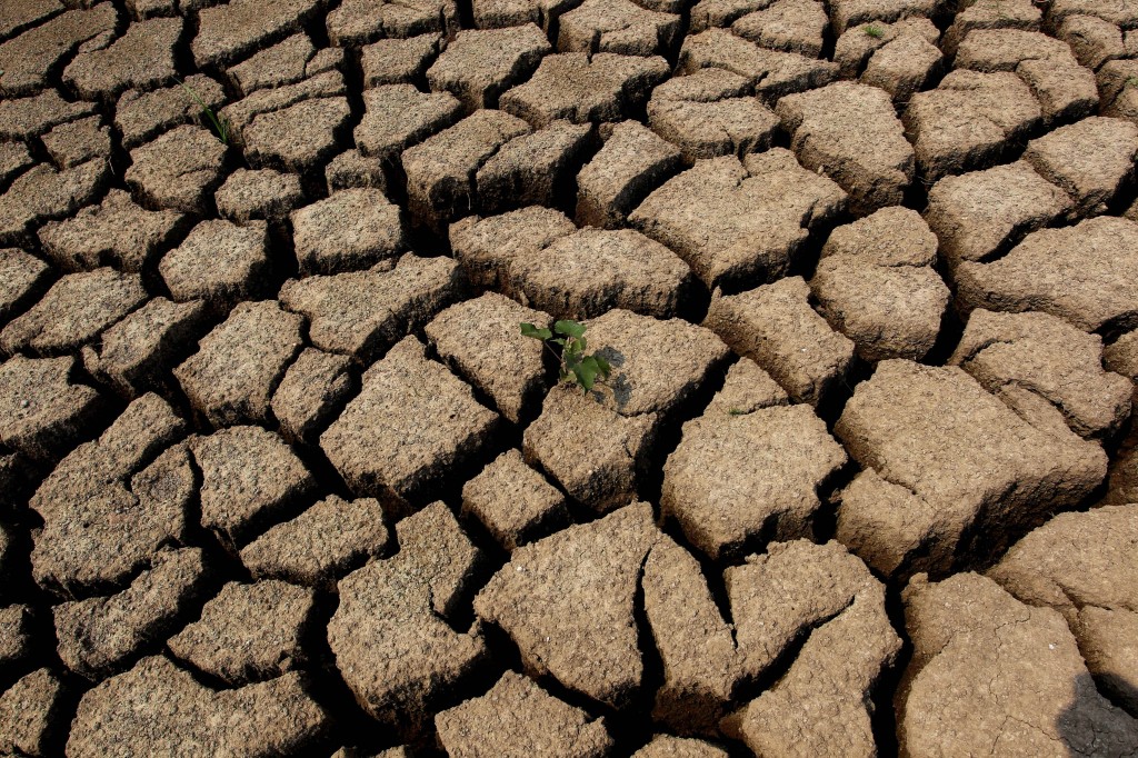 Once-in-63-year Drought Happens In Henan