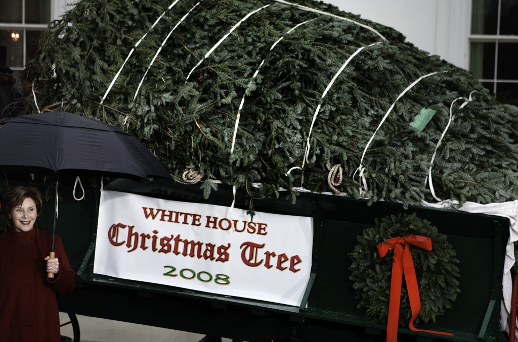 President, First Lady Attend Ceremony Debuting White House Christmas Tree