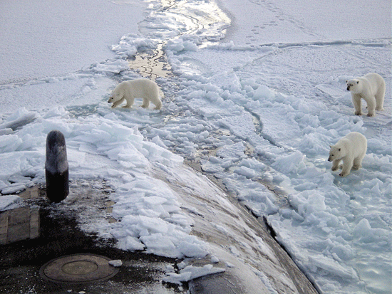 Polar Bears, Robot Subs And Melting Ice: Navy’s ICEX 2016