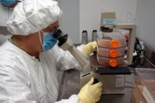Coronavirus: Army Experts Press Hard For Vaccines, Diagnostics