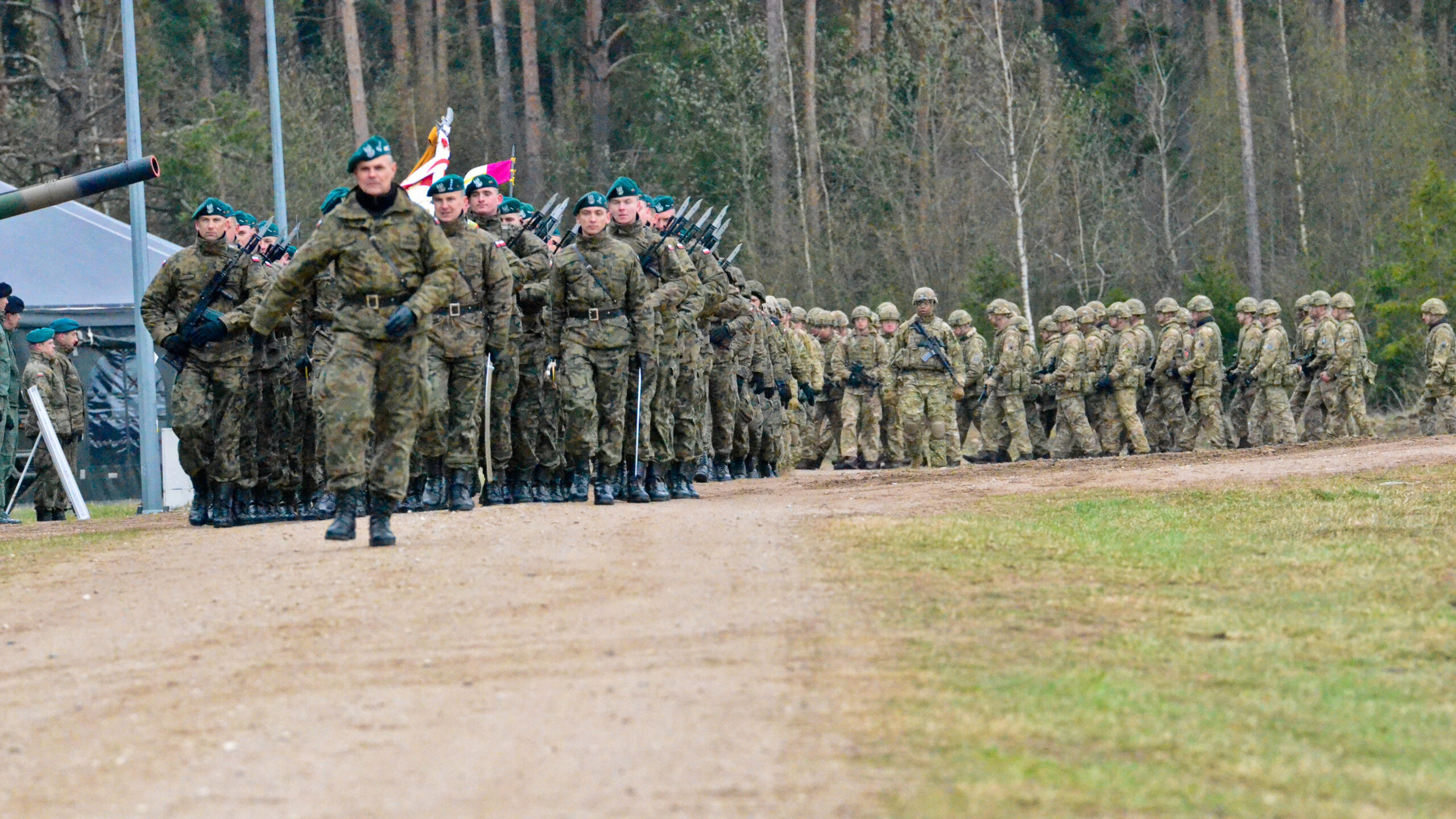 Battle Group Poland