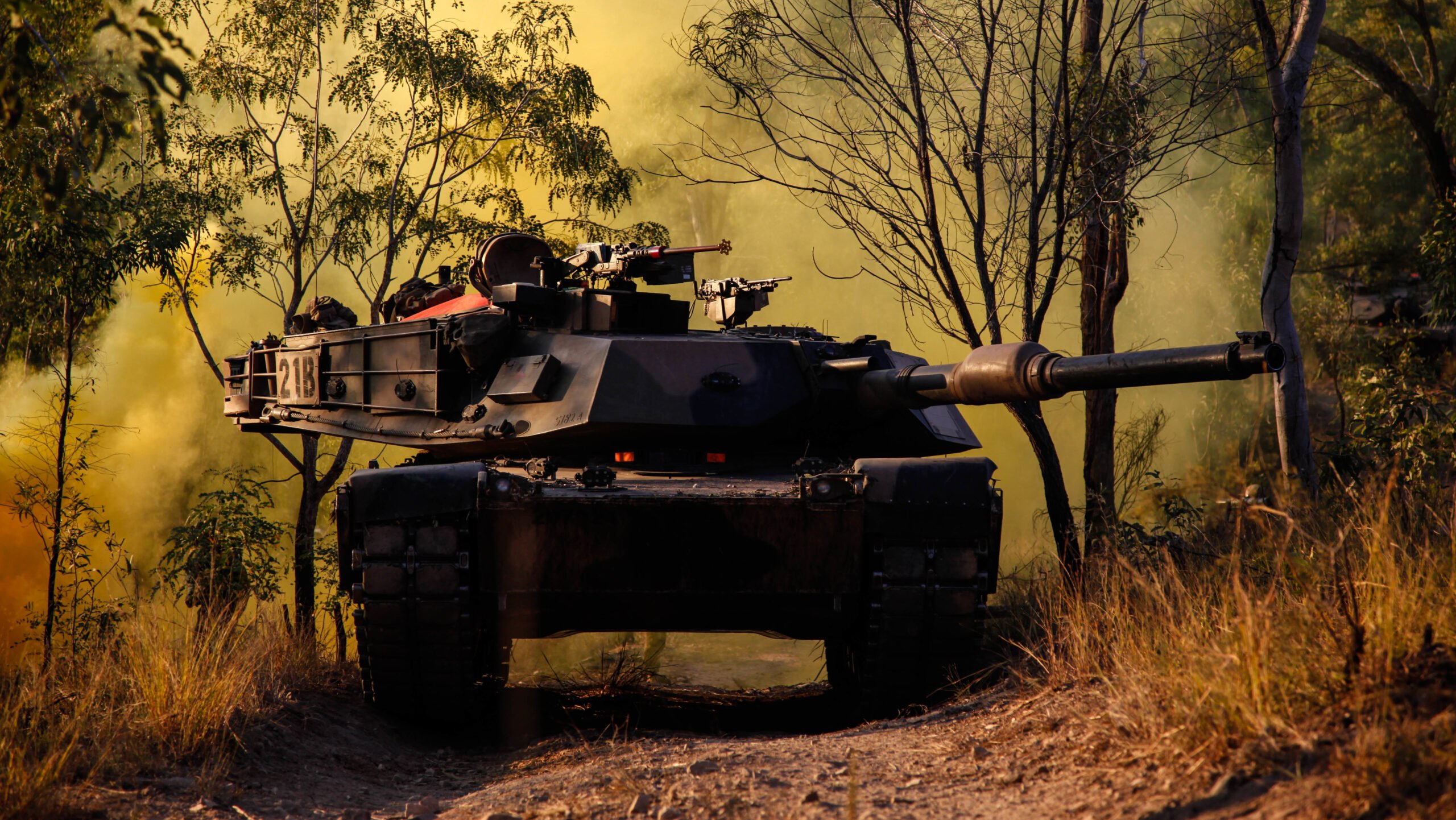 Can Germany's big cats resist South Korea's Black Panther invasion? -  Breaking Defense