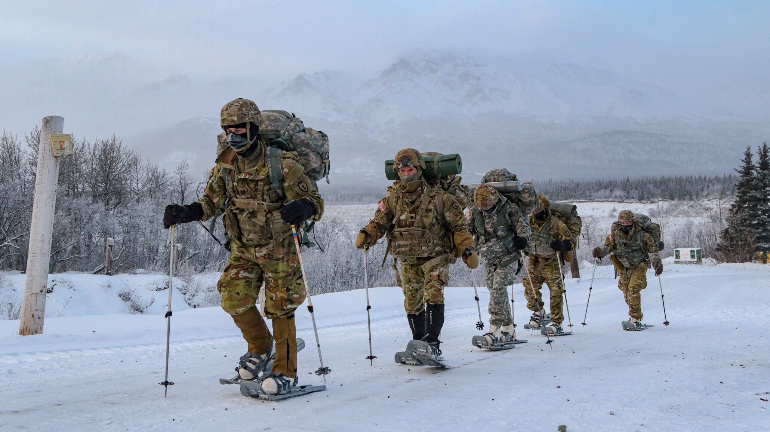 Russia's Arctic Brigades to get new outfit this year