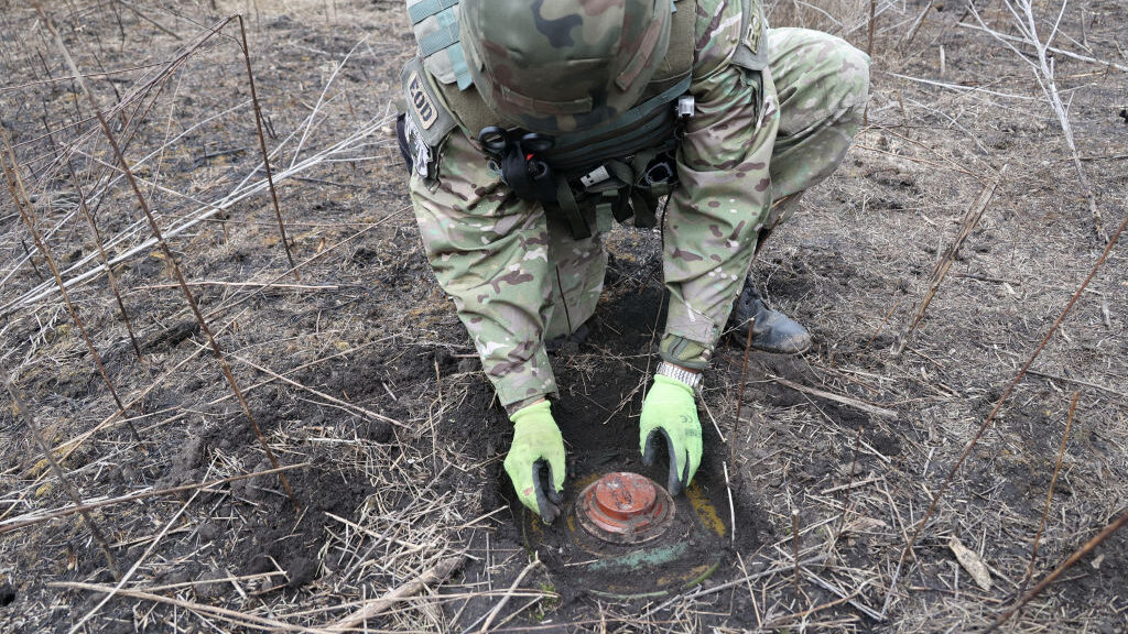 Clearing Ukrainian land of dangerous mines, ordinance will take decades, EOD firm says