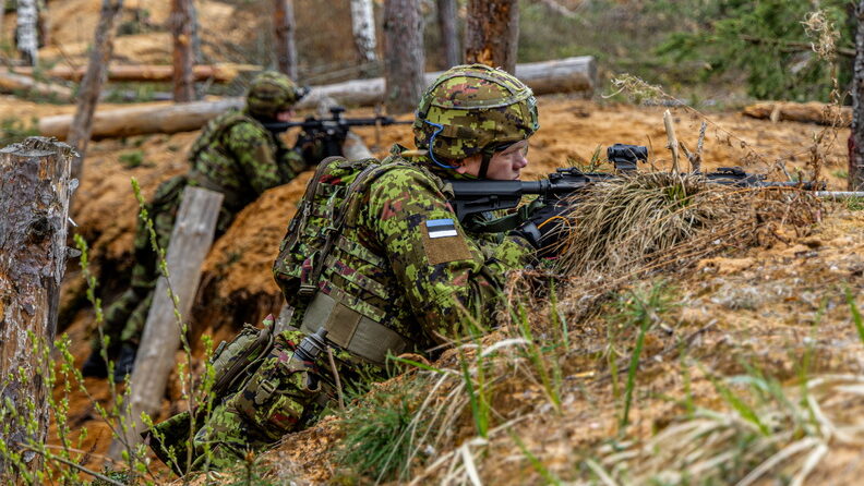 Estonia had discussed sending non-front line troops to Ukraine: General