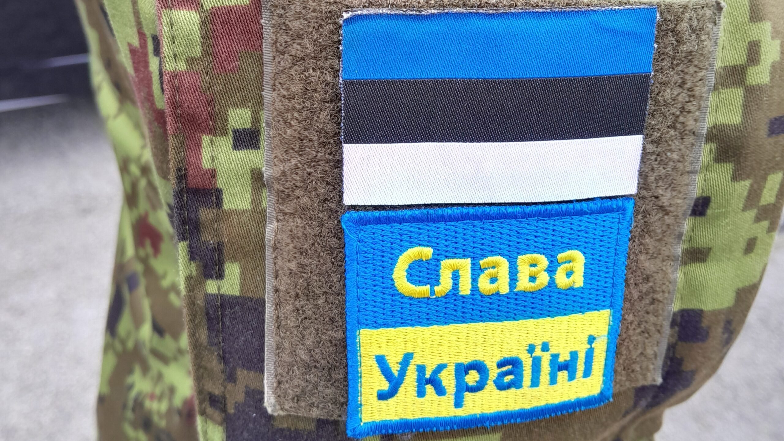 Estonia had discussed sending non-front line troops to Ukraine: General